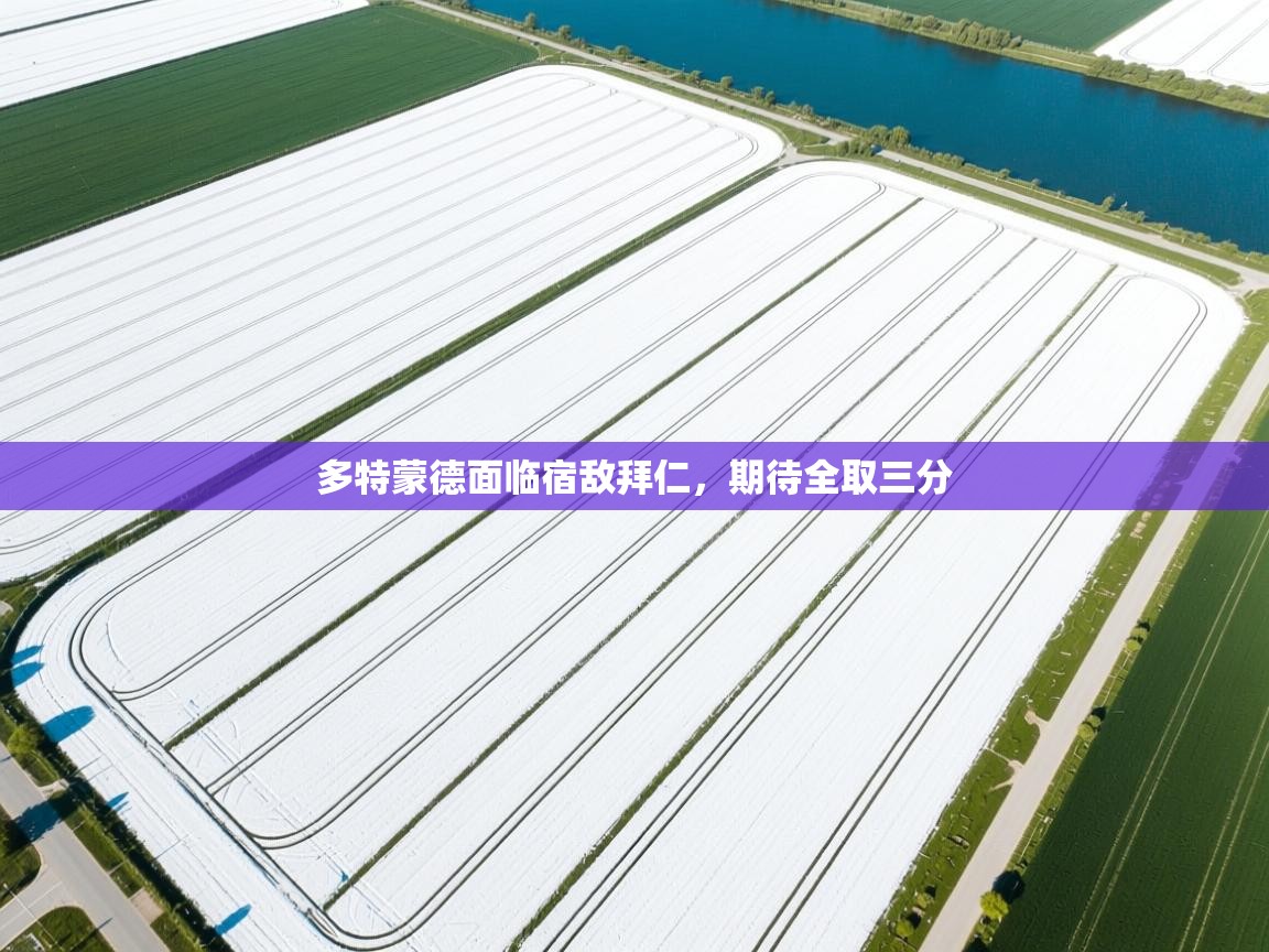 多特蒙德面临宿敌拜仁,期待全取三分 第2张