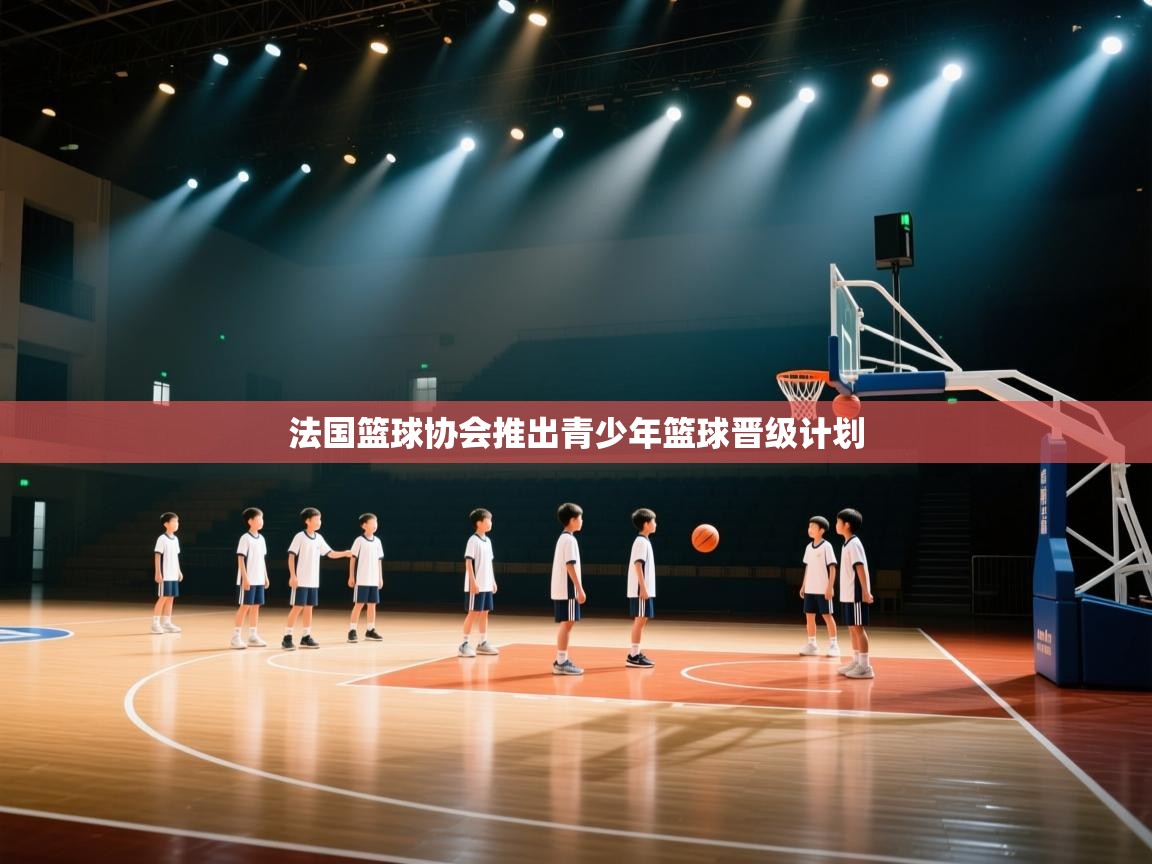 法国篮球协会推出青少年篮球晋级计划  第1张
