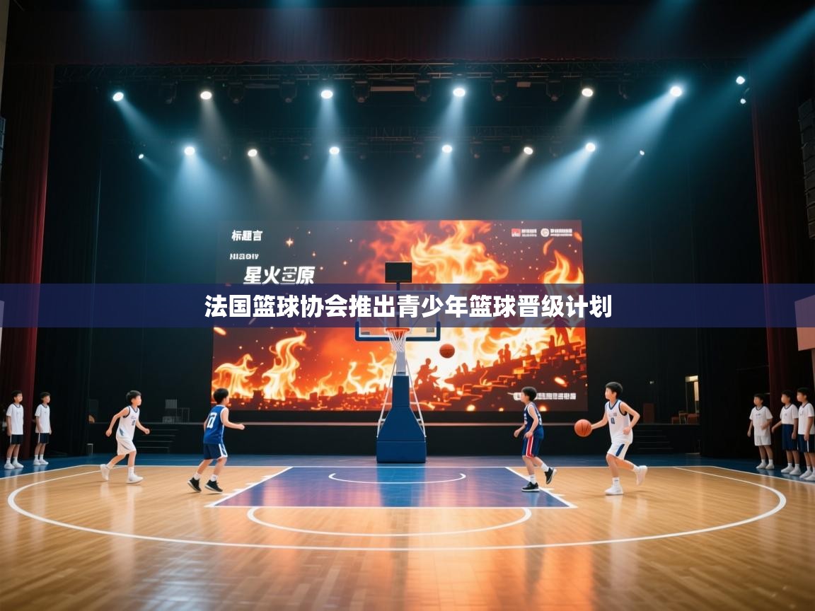 法国篮球协会推出青少年篮球晋级计划  第2张