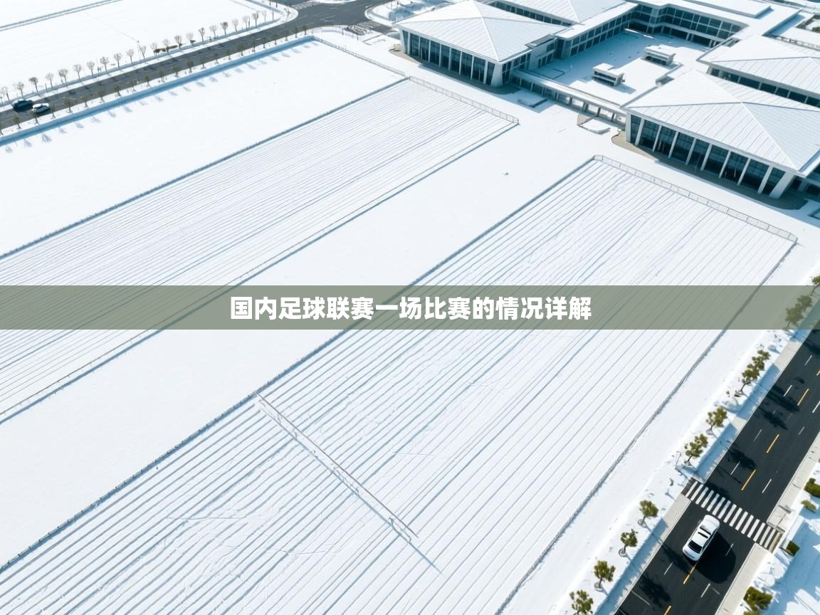 国内足球联赛一场比赛的情况详解  第1张