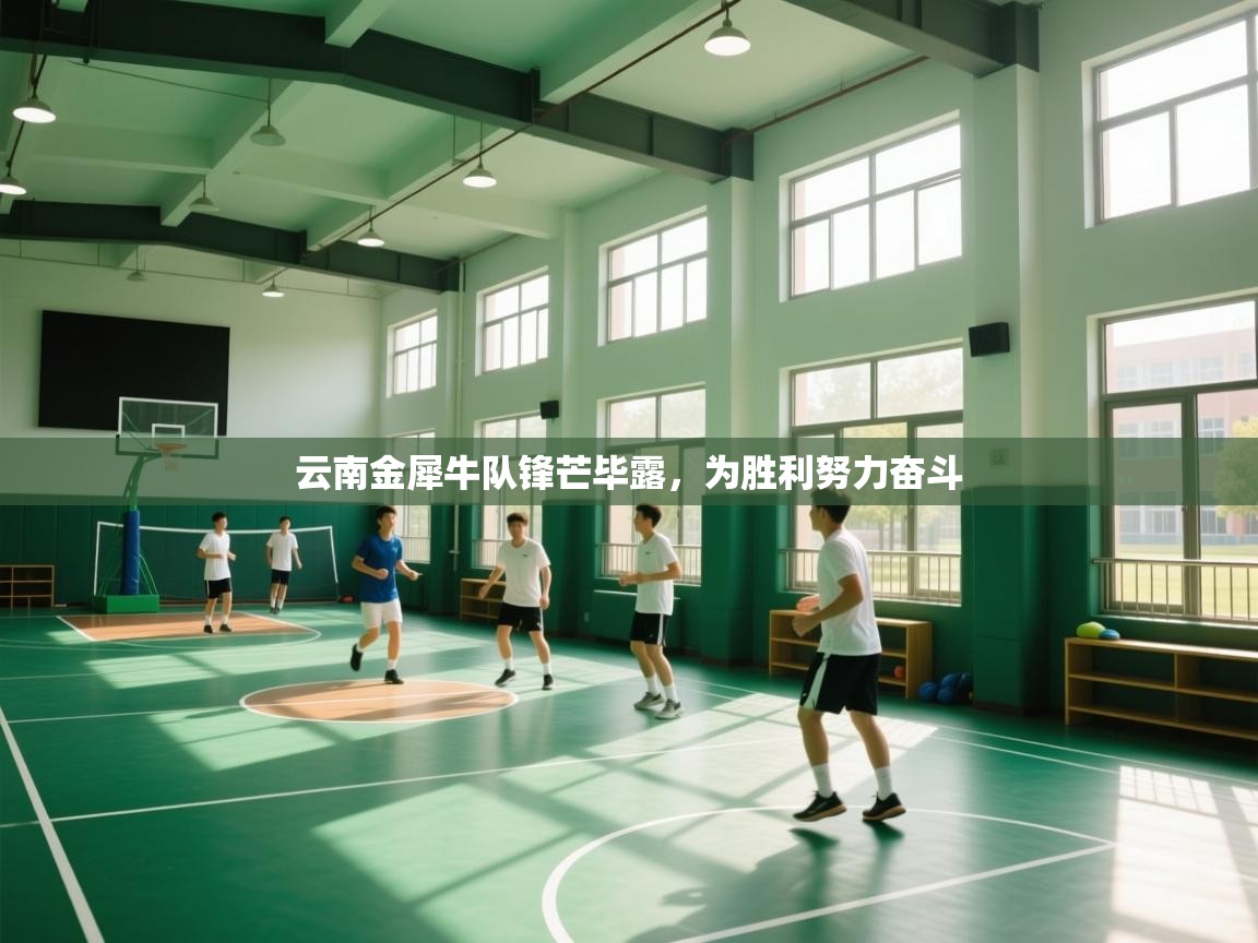 云南金犀牛队锋芒毕露,为胜利努力奋斗 第1张