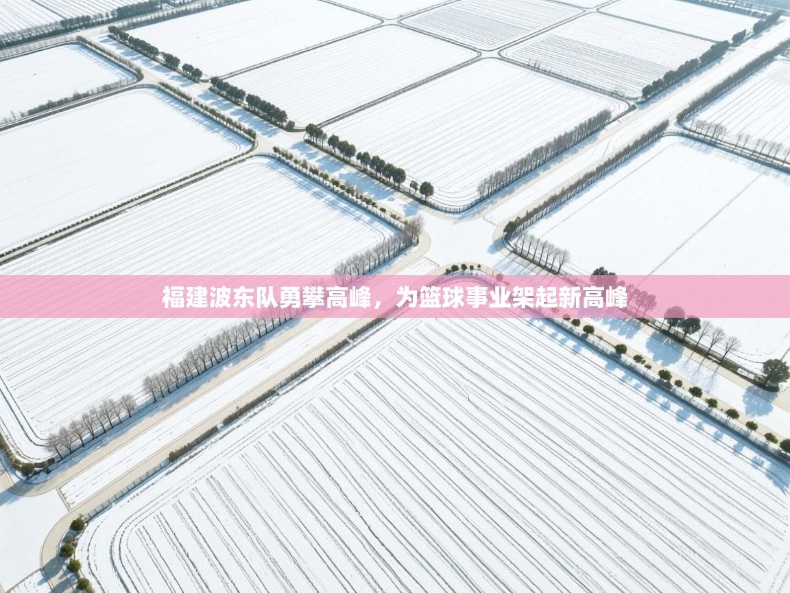 福建波东队勇攀高峰,为篮球事业架起新高峰 第1张