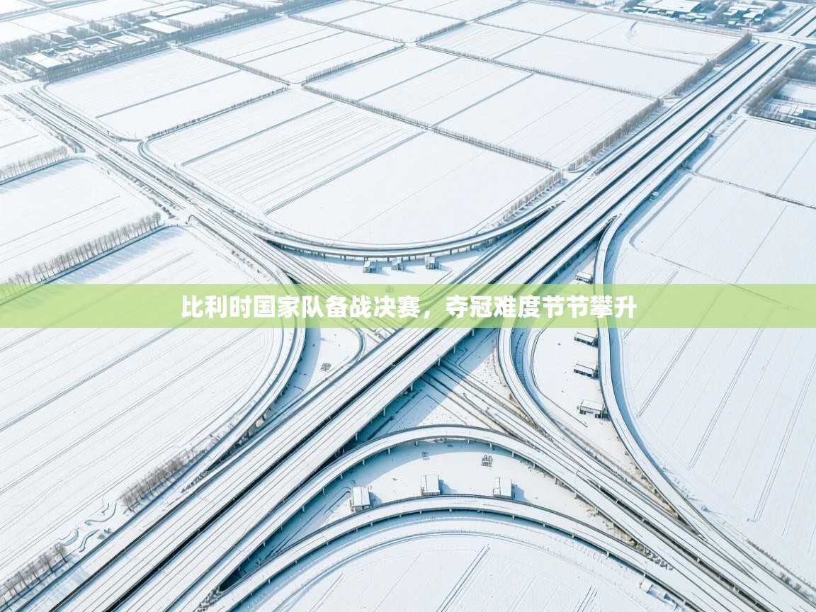 比利时国家队备战决赛，夺冠难度节节攀升  第1张