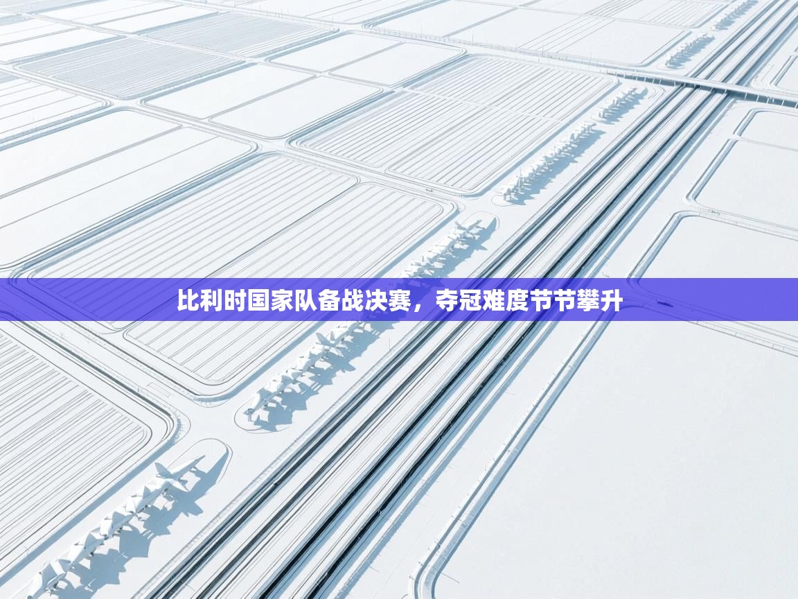 比利时国家队备战决赛，夺冠难度节节攀升  第2张