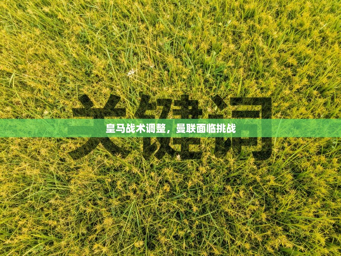 皇马战术调整，曼联面临挑战  第1张